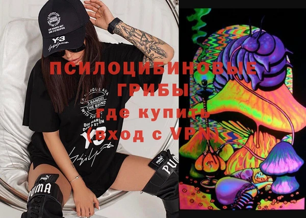дурь Медвежьегорск