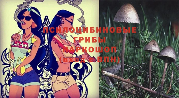 дурь Медвежьегорск