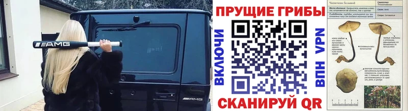 Псилоцибиновые грибы прущие грибы  Купить где  Катайск 