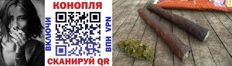Конопля план Катайск